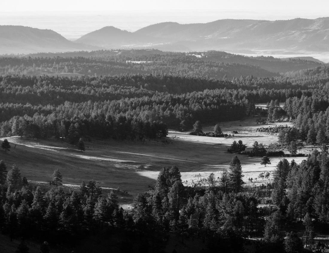 Noah Jigsaw Puzzle Augusta, Georgia, USA downtown skyline on the Savannah River in black white 1000 pieces