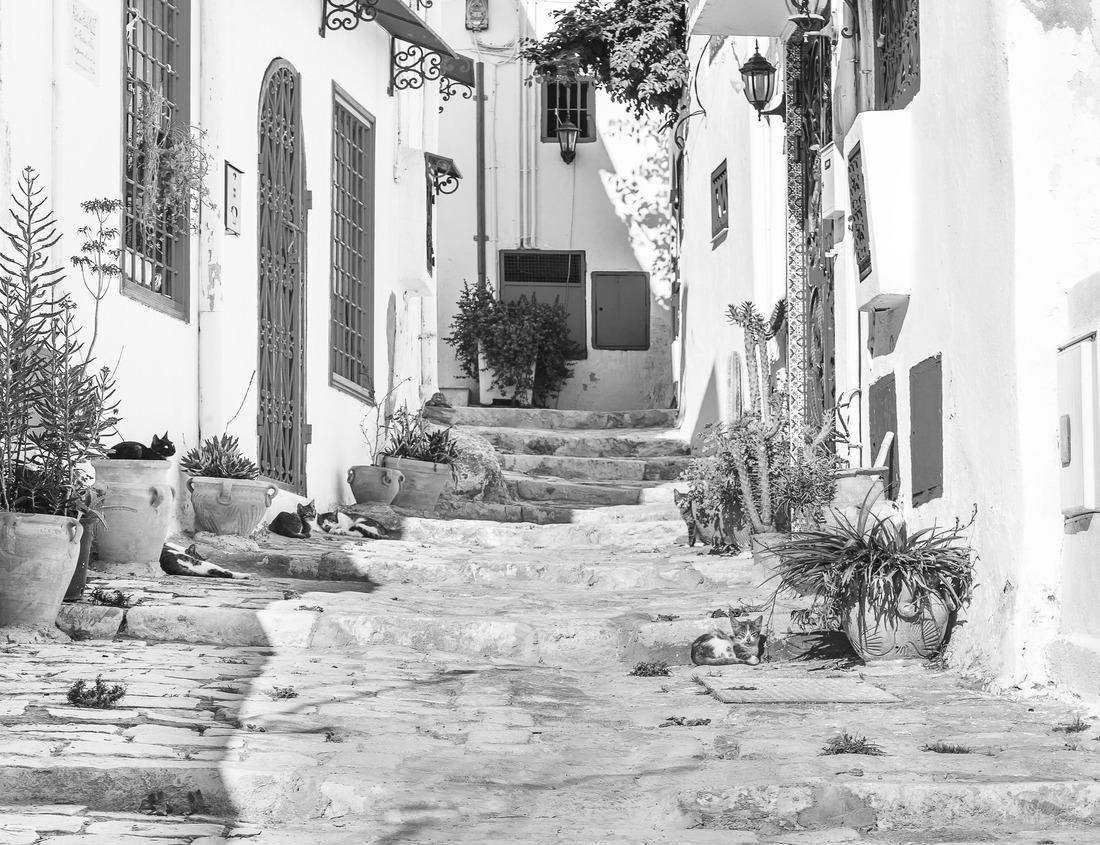 Noah Jigsaw Puzzle Details of Roman Theater in Amman - Jordan in black white 1000 pieces