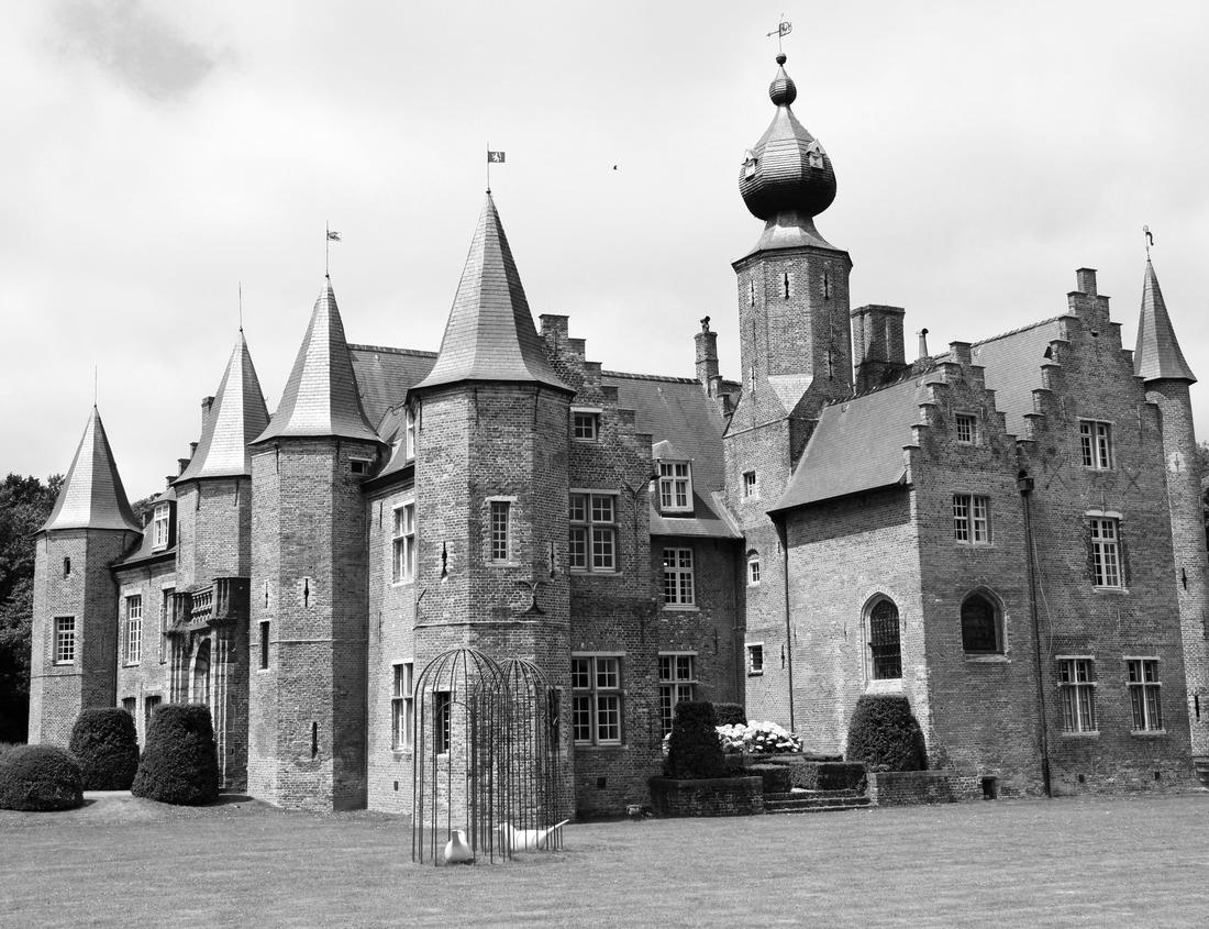 Noah Jigsaw Puzzle Autumn leaves in Acadia National Park, Maine, USA in black white 1000 pieces