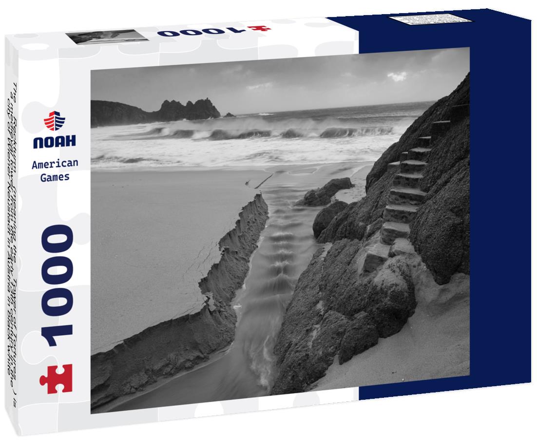 Noah Jigsaw Puzzle The “Reckturm” (meaning the “Tower of Tortures”) is a medieval tower from the early 13th century in the city of Wiener Neustadt in Austria in black white 1000 pieces