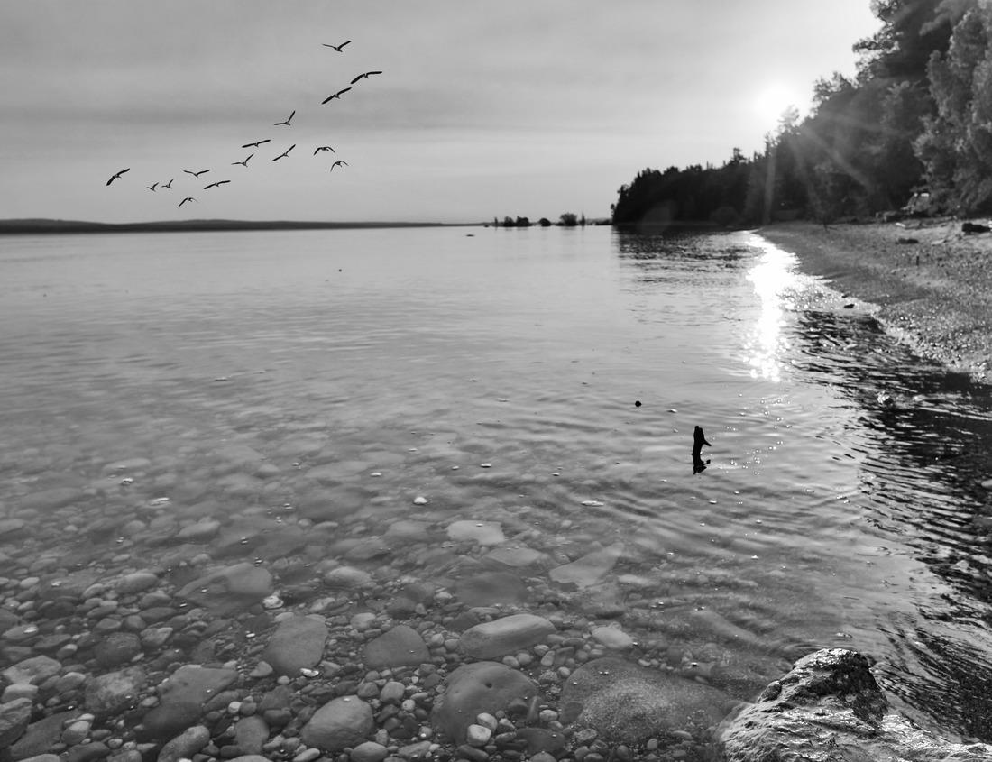 Noah Jigsaw Puzzle Detroit Fountain at Belle Isle during sunset in black white 1000 pieces