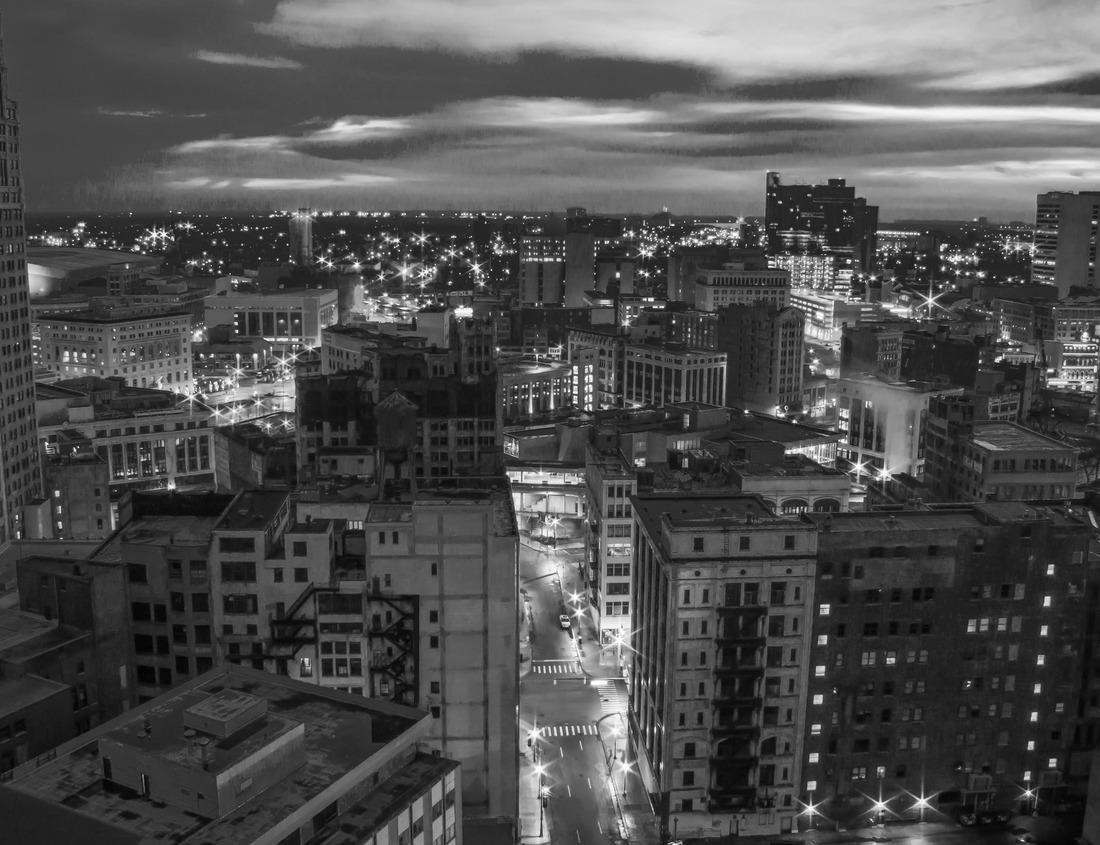 Noah Jigsaw Puzzle Alligator at Everglades National Park, Florida in black white 1000 pieces