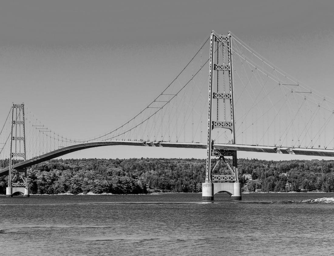 Noah Jigsaw Puzzle Downtown Houston skyline in Texas USA, at dusk in black white 1000 pieces