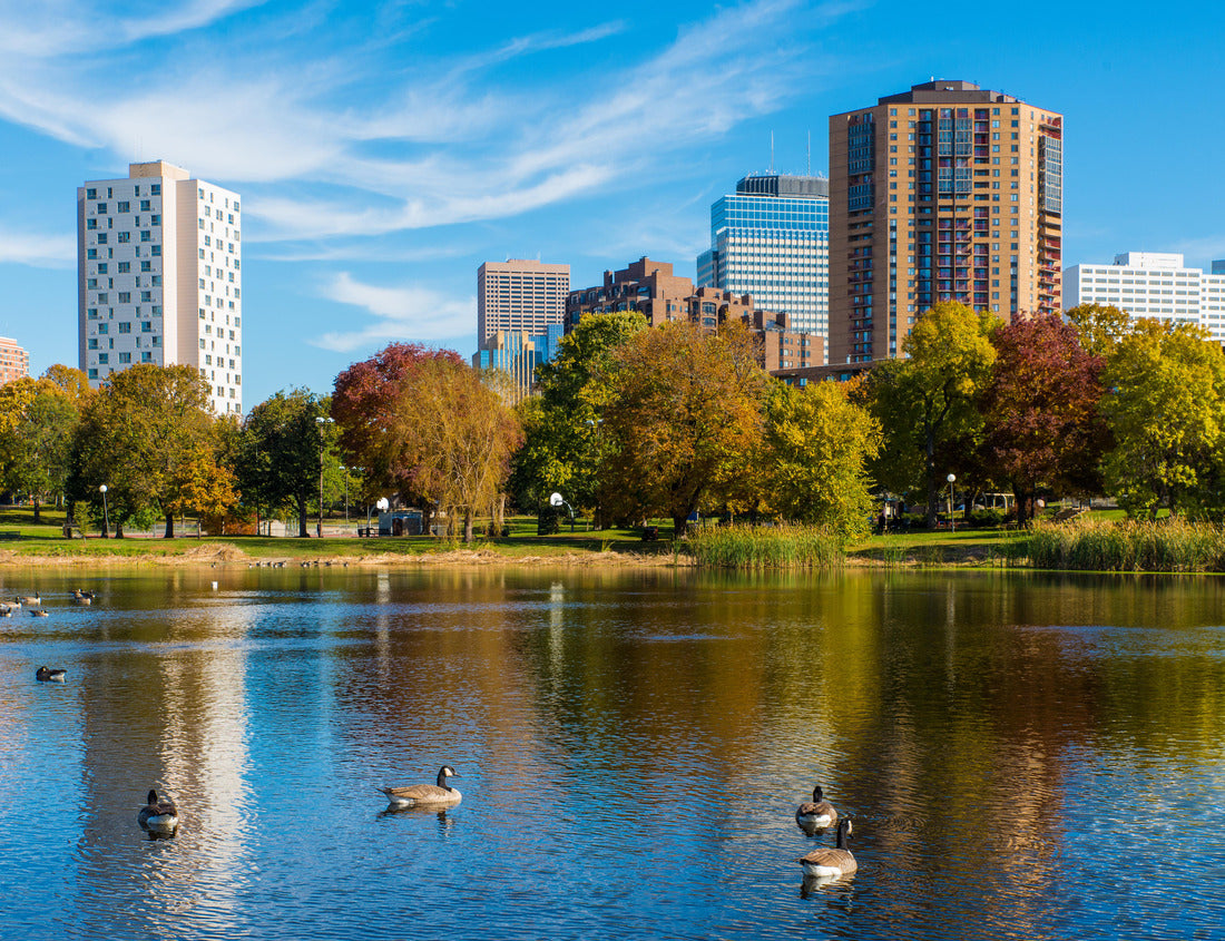 Noah Jigsaw Puzzle This is Loring Park in Minneapolis, Minnesota. This shows part of the skyline. This was taken during autumn. These are Canadian Geese on the lake 1000 pieces