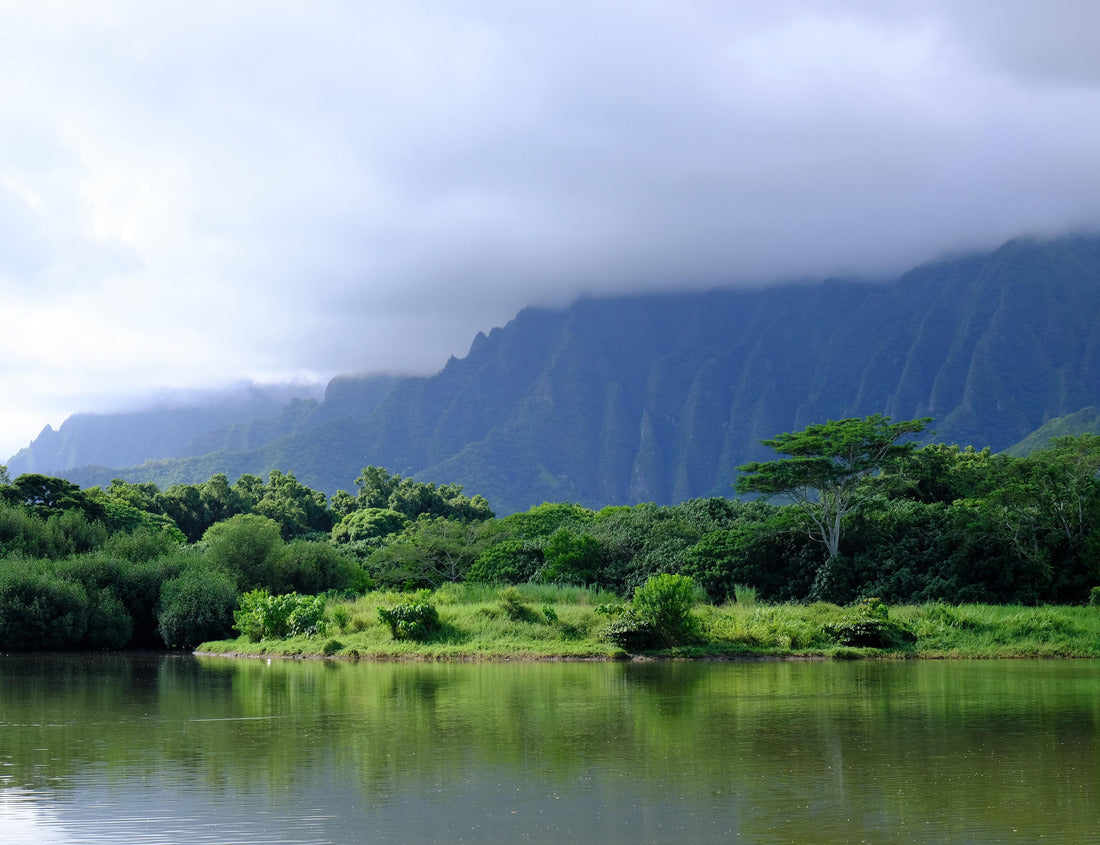 Noah Jigsaw Puzzle Ahuimanu Stream in Kahaluu, Oahu, Hawaii. Stream in foreground and Ko'olau mountains in the background. Surrounding landscape includes palm trees and tropical forest 1000 pieces