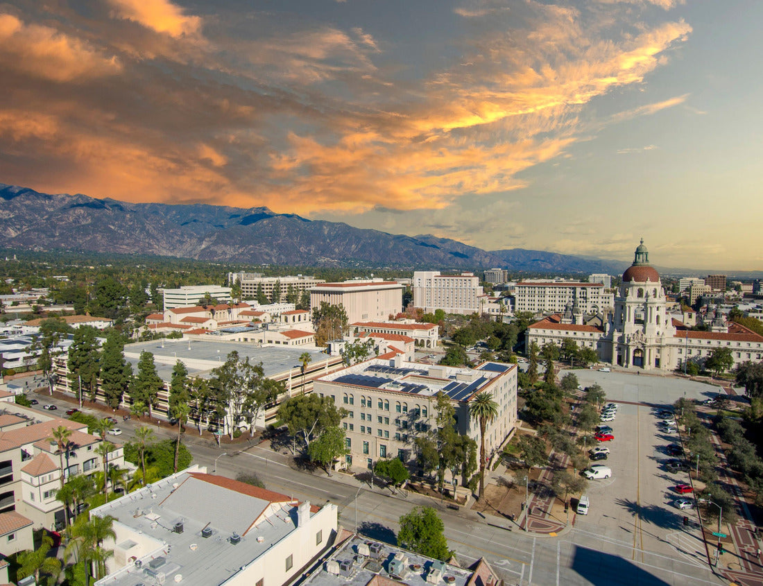 Noah Jigsaw Puzzle Pasadena 1000 pieces