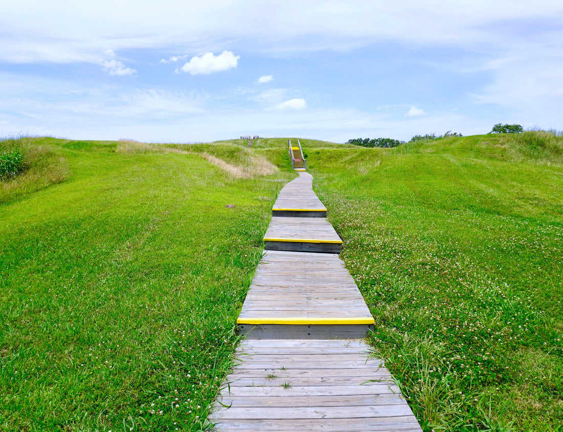 Noah Jigsaw Puzzle Poverty Point World Heritage Site in Louisiana 1000 pieces