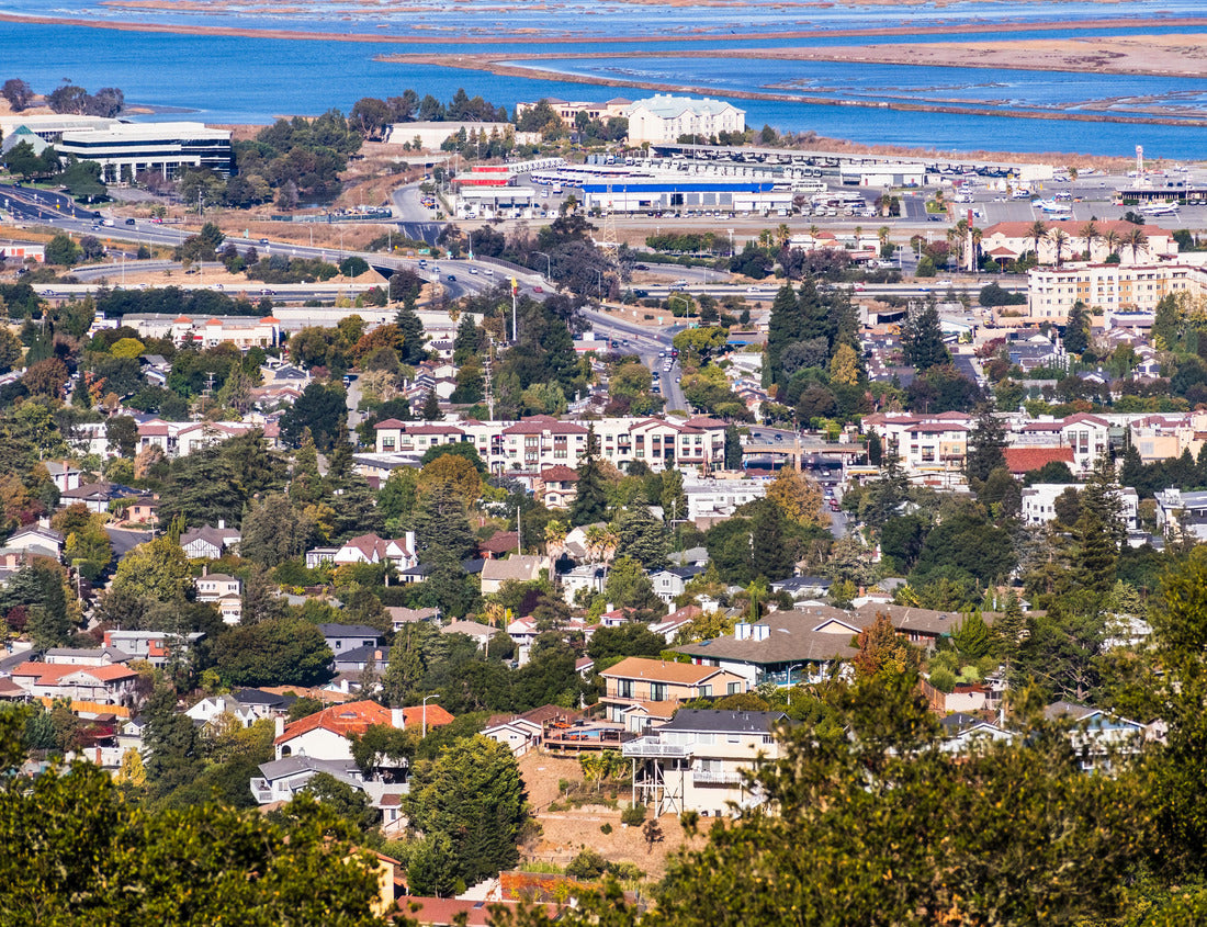 Noah Jigsaw Puzzle Aerial view of San Carlos in Silicon Valley 1000 pieces