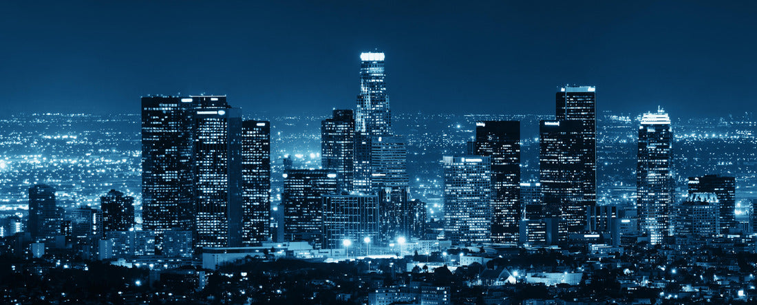 Noah Jigsaw Puzzle Los Angeles panorama 2000 pieces