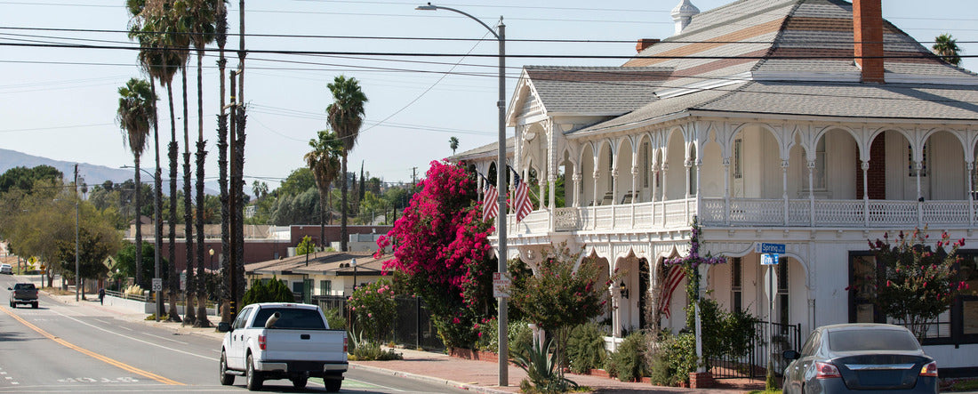 Noah Jigsaw Puzzle Lake Elsinore, California, USA panorama 2000 pieces