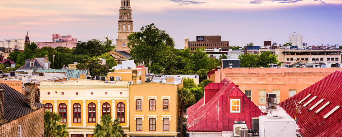 Charleston South Carolina Skyline 2000pc Panoramic Puzzle