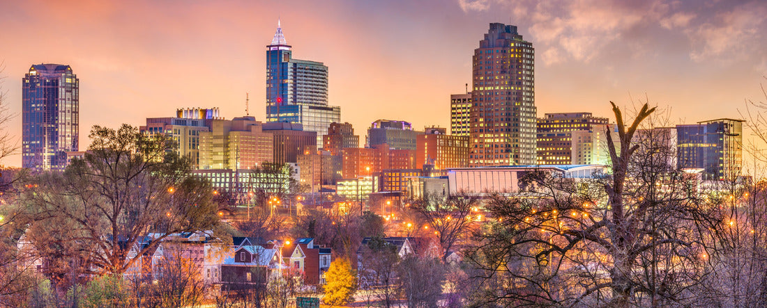 Raleigh, North Carolina, USA skyline 2000pc Panoramic Puzzle