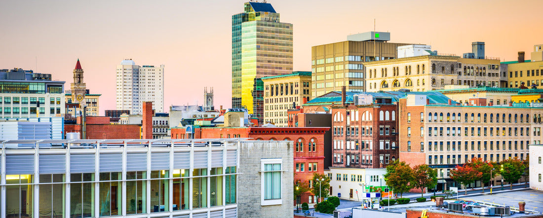 Noah Jigsaw Puzzle Worcester, Massachusetts, USA Skyline panorama 2000 pieces