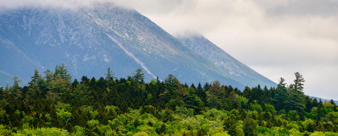 Noah Jigsaw Puzzle Katahdin Woods and Waters National Monument panorama 2000 pieces