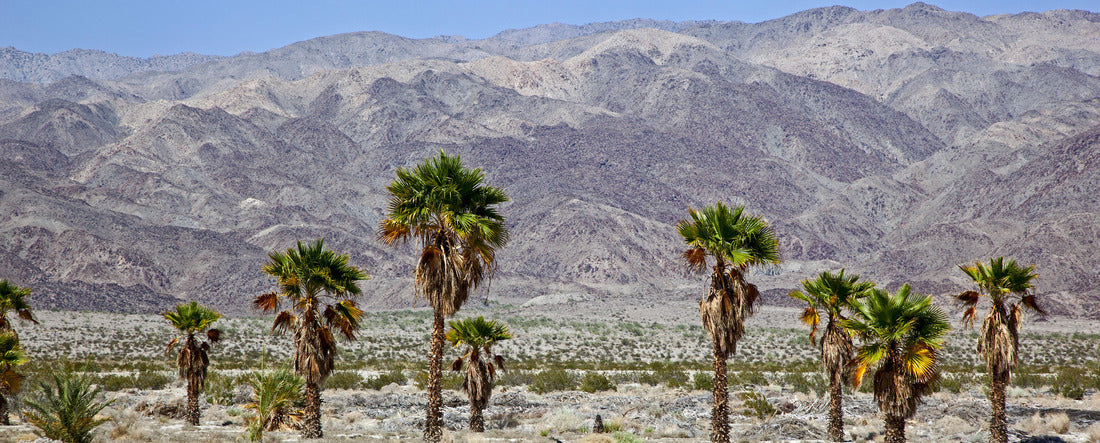 Noah Jigsaw Puzzle Harsh desert and landscape of the Indio Hills panorama 2000 pieces