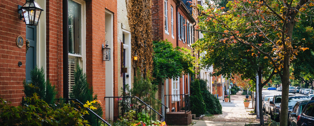 Row houses in Federal Hill Baltimore, Maryland 2000pc Panoramic Puzzle