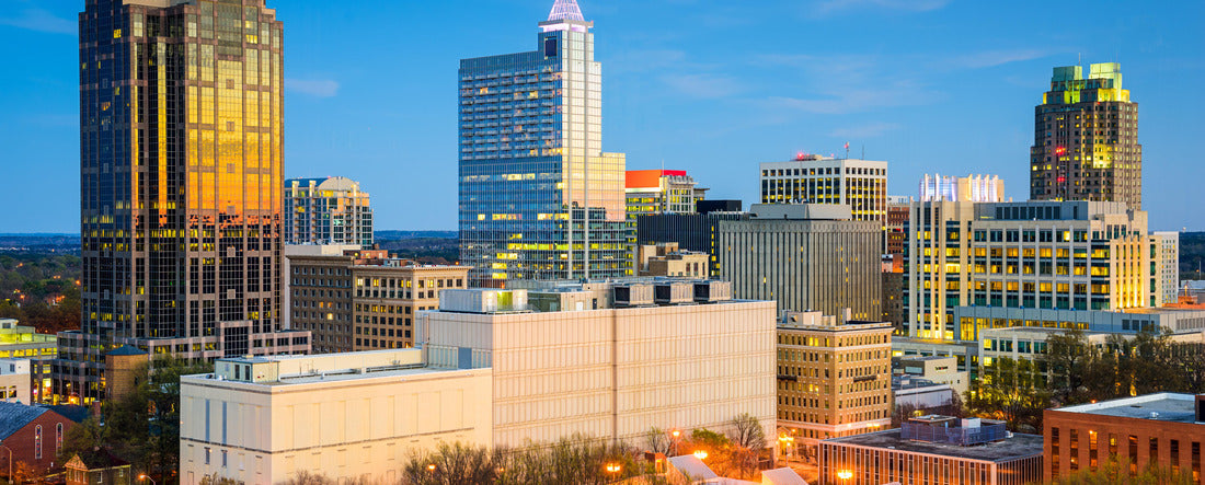 Raleigh, North Carolina, USA downtown city skyline 2000pc Panoramic Puzzle