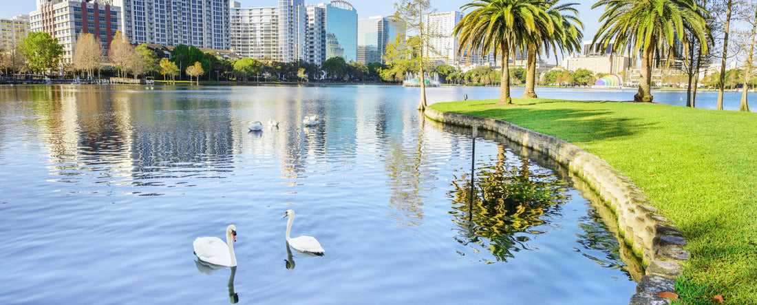 Orlando. Located in Lake Eola Park, Orlando, Florida, USA 2000pc Panoramic Puzzle