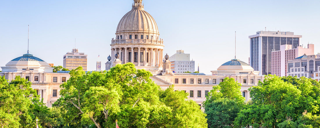 Noah Jigsaw Puzzle Jackson, Mississippi, USA Downtown cityscape at the capitol panorama 2000 pieces