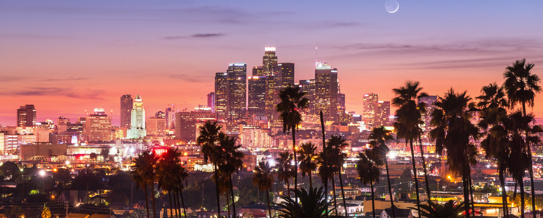 Beautiful sunset through the palm trees, Los Angeles, California 2000pc Panoramic Puzzle