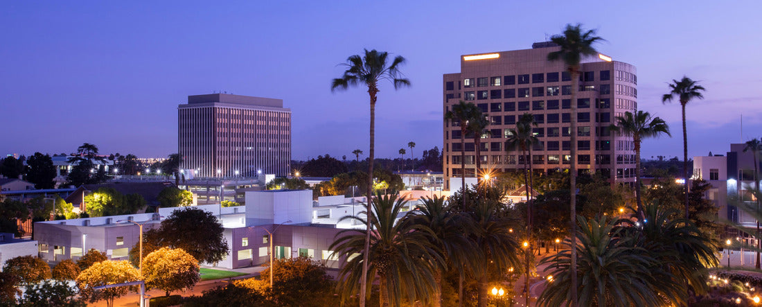 Twilight palm tree framing the skyline of downtown Anaheim, California 2000pc Panoramic Puzzle