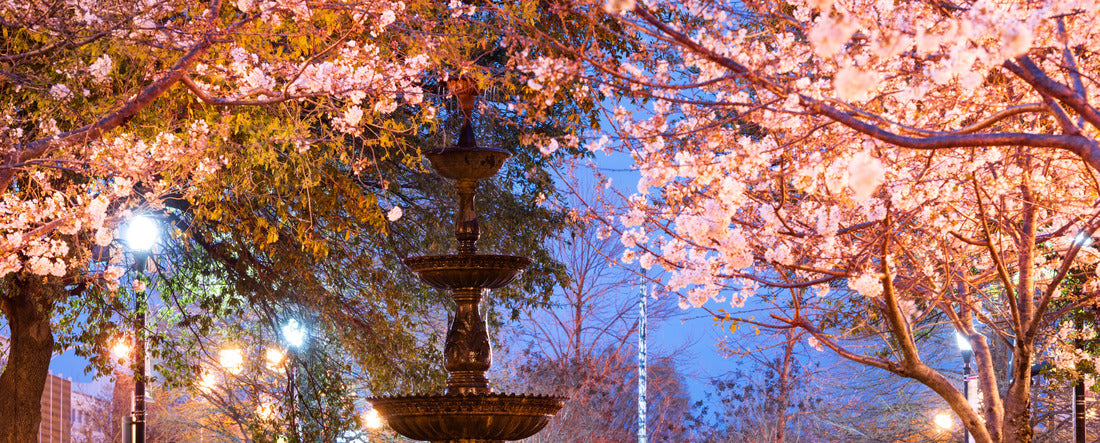 Macon, Georgia, USA downtown square in spring season with the fountain 2000pc Panoramic Puzzle