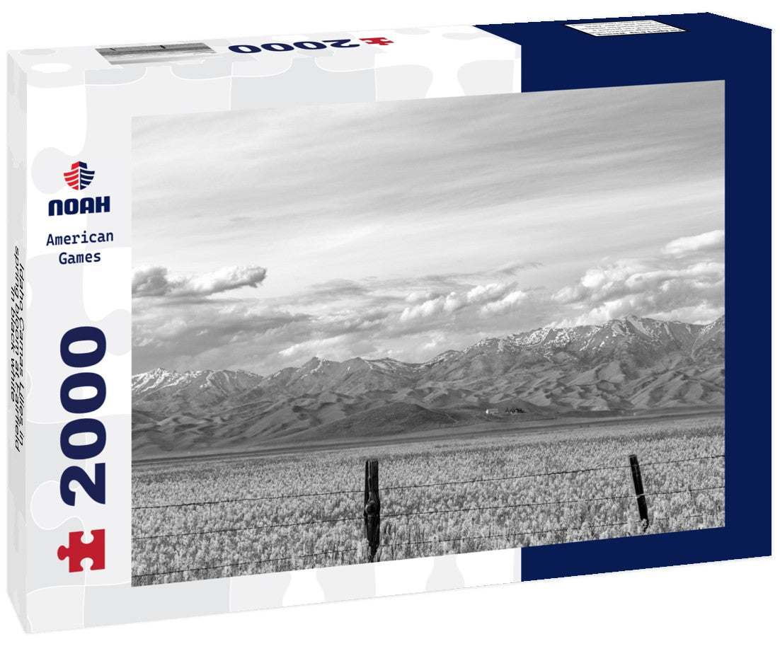 Noah Jigsaw Puzzle Idaho Camas Lilies in spring bloom at Fairfield in black white 2000 pieces