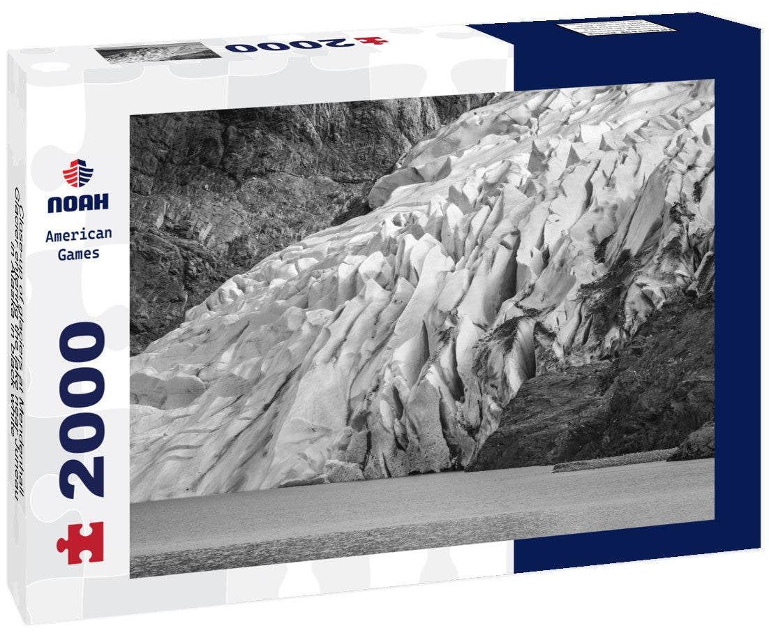 Noah Jigsaw Puzzle Close-up of glaciers at Mendenhall Glacier entering the lake near Juneau in Alaska in black white 2000 pieces