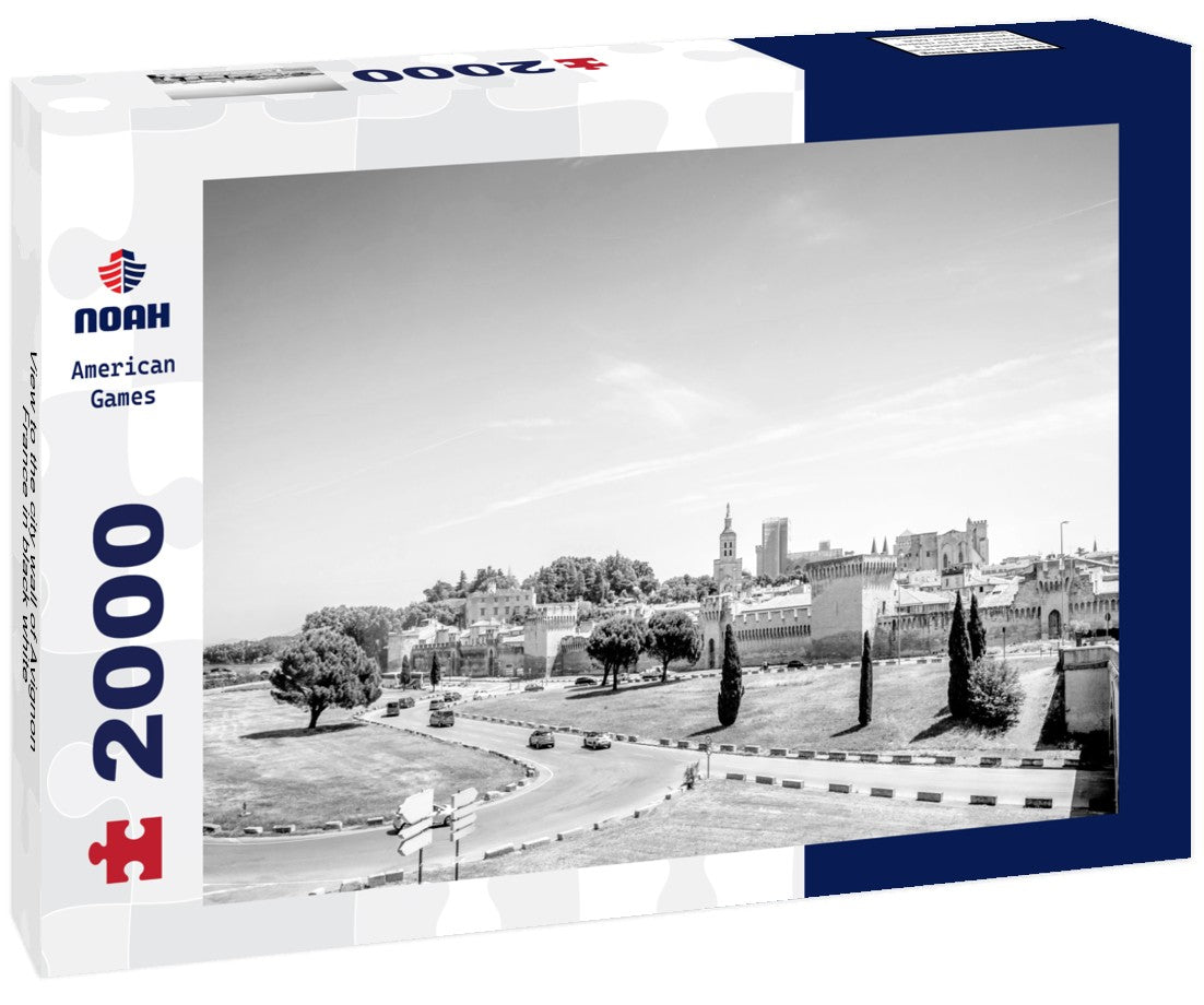 Noah Jigsaw Puzzle View to the city wall of Avignon, France in black white 2000 pieces
