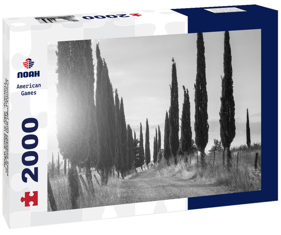 Noah Jigsaw Puzzle Country road with cypress trees at sunset. Typical landscape in Tuscany, Italy in black white 2000 pieces