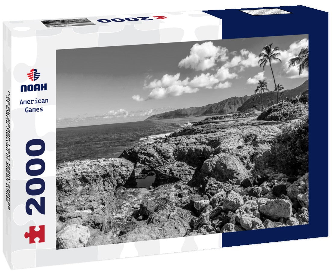Noah Jigsaw Puzzle Kea'au Beach Park rocky scenes in Oahu Hawaii in black white 2000 pieces
