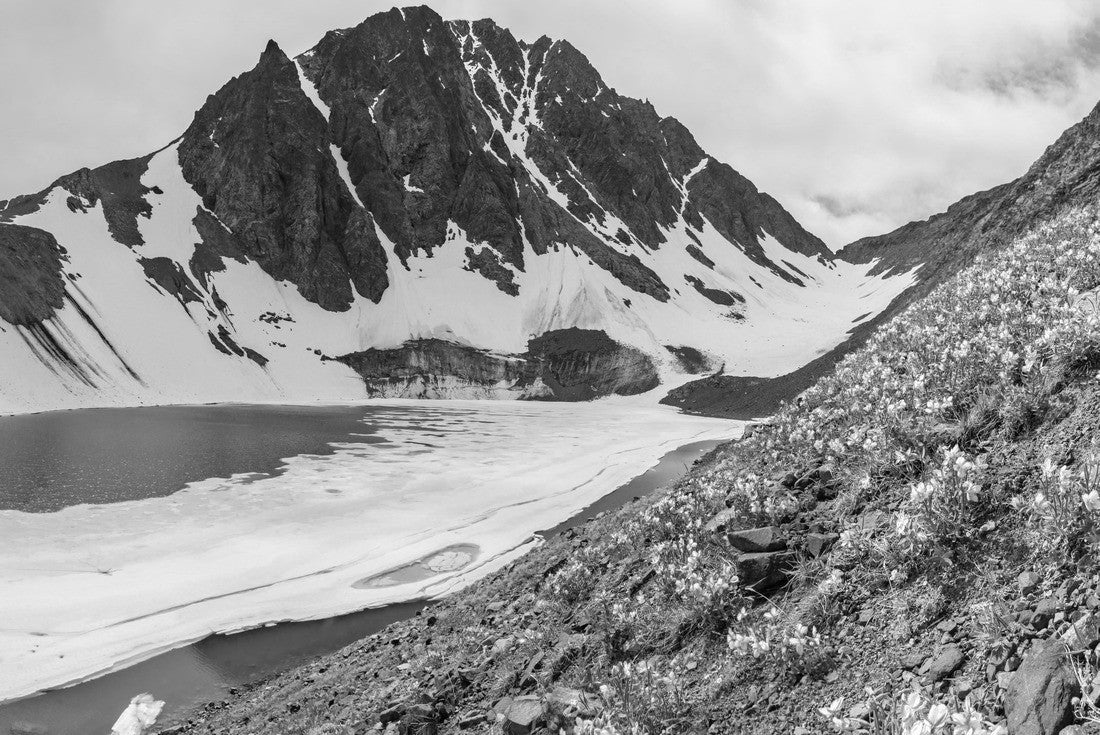 Incredible natural landscape in the Yukon Territory, Canada near Alaska 2000pc PuzzleBlack and White
