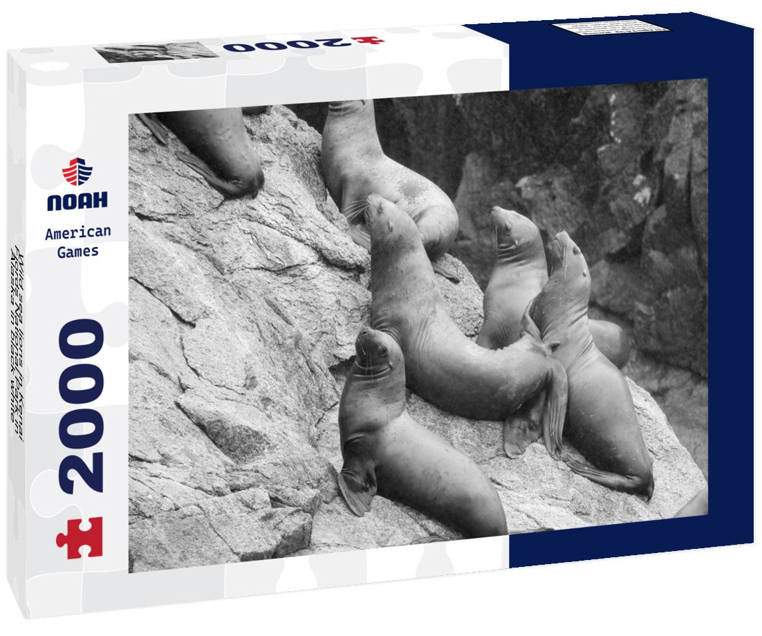 Noah Jigsaw Puzzle Wild sea lions in Kenai Fjords National Park in Alaska in black white 2000 pieces