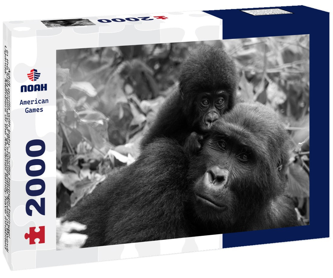 Adult gorilla with baby, Gorilla beringei beringei, in the lush greenery of the impenetrable forest of Bwindi, Uganda. Members of the Muyambi family have inhabited a group of the conservation program 2000pc PuzzleBlack and White