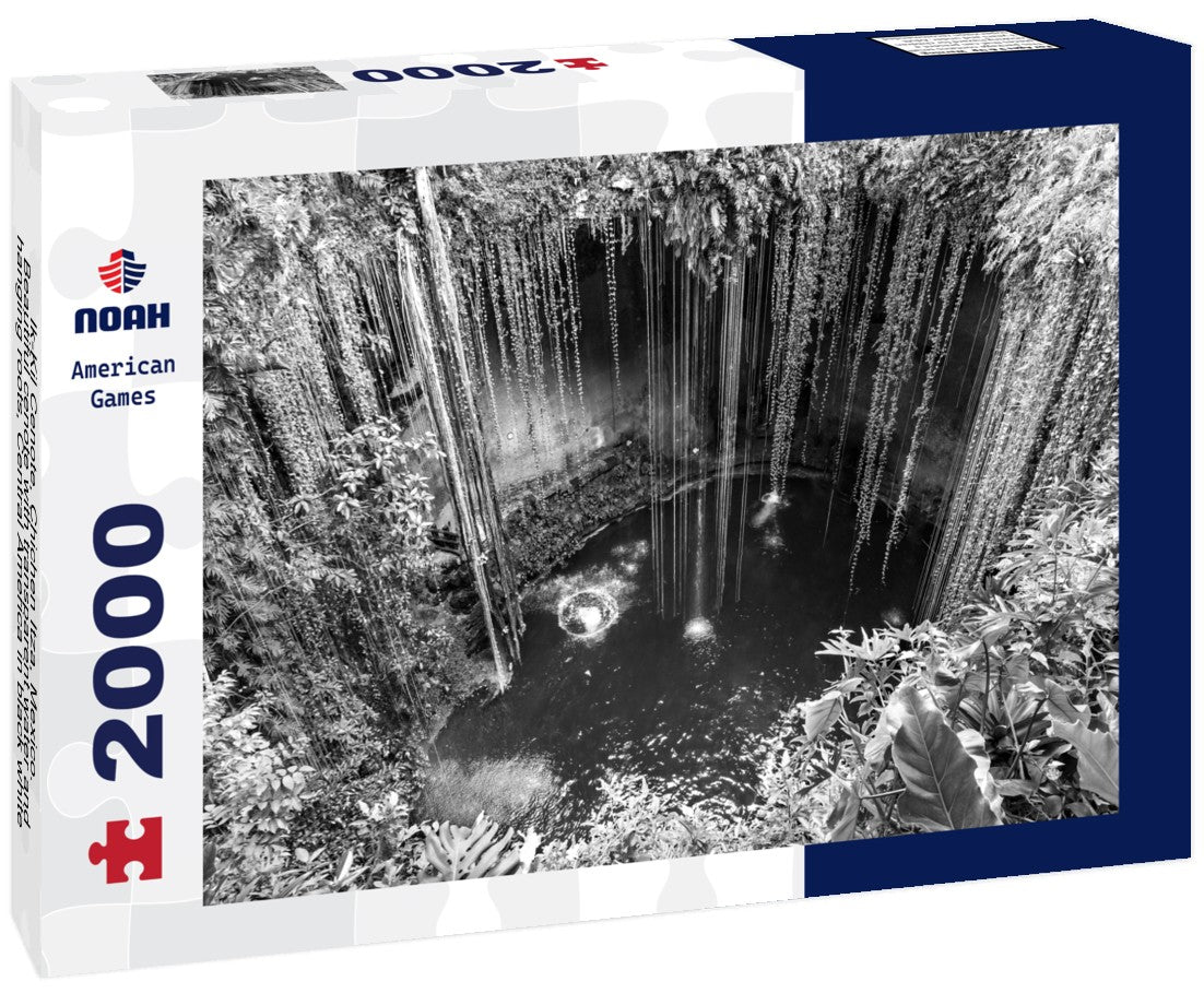 Noah Jigsaw Puzzle Ik-Kil Cenote, Chichen Itza, Mexico. Beautiful cenote with transparent water and hanging roots, Central America in black white 2000 pieces