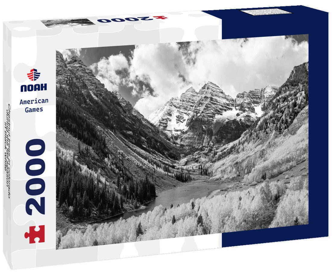 Noah Jigsaw Puzzle Chestnut trees in colorado during the fall season in black white 2000 pieces