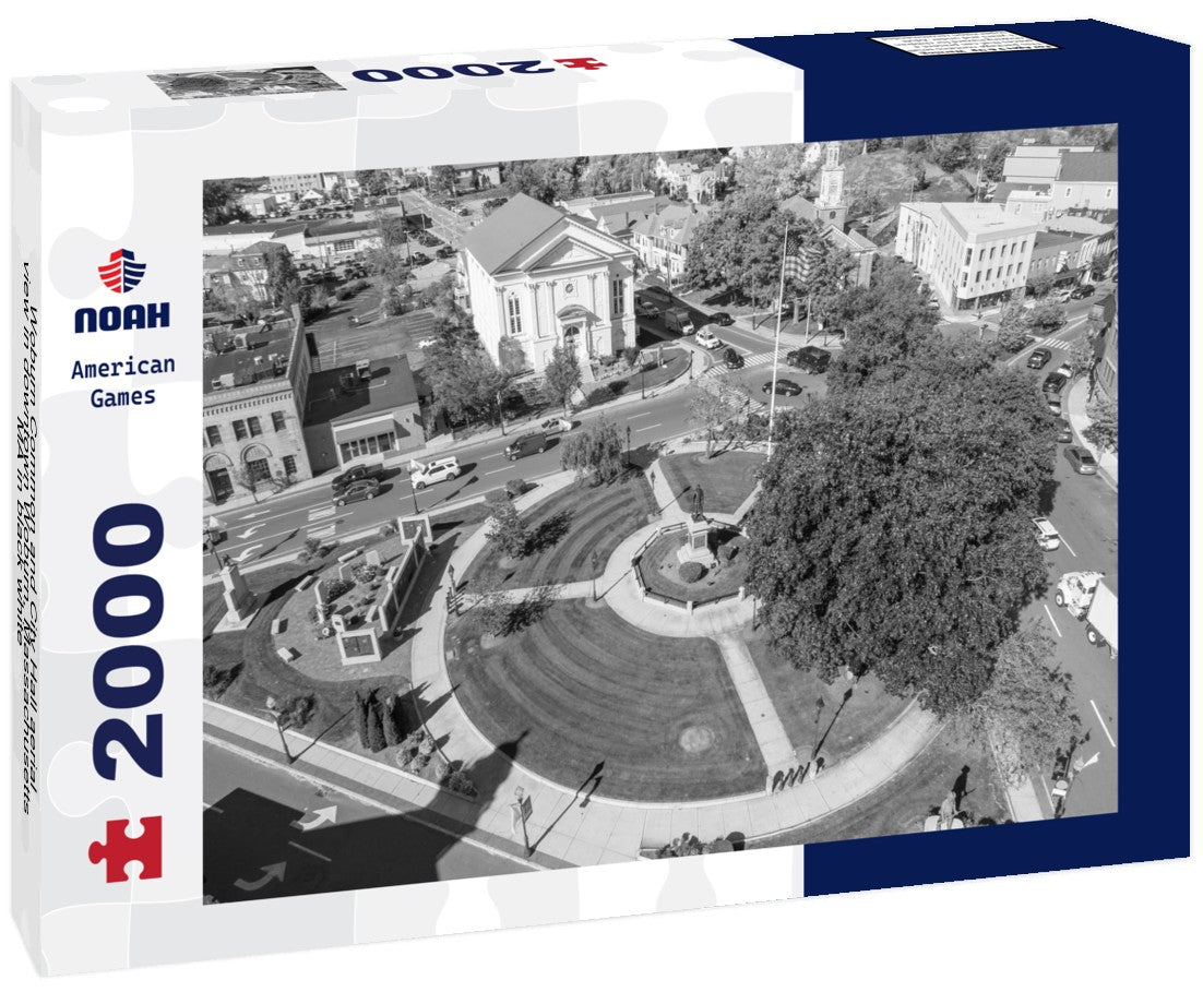 Noah Jigsaw Puzzle Woburn Common and City Hall aerial view in downtown Woburn, Massachusetts MA in black white 2000 pieces