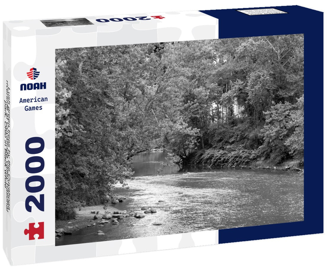 Noah Jigsaw Puzzle Lush green trees by the Cuyahoga riverside at Cuyahoga valley national park, Ohio in black white 2000 pieces