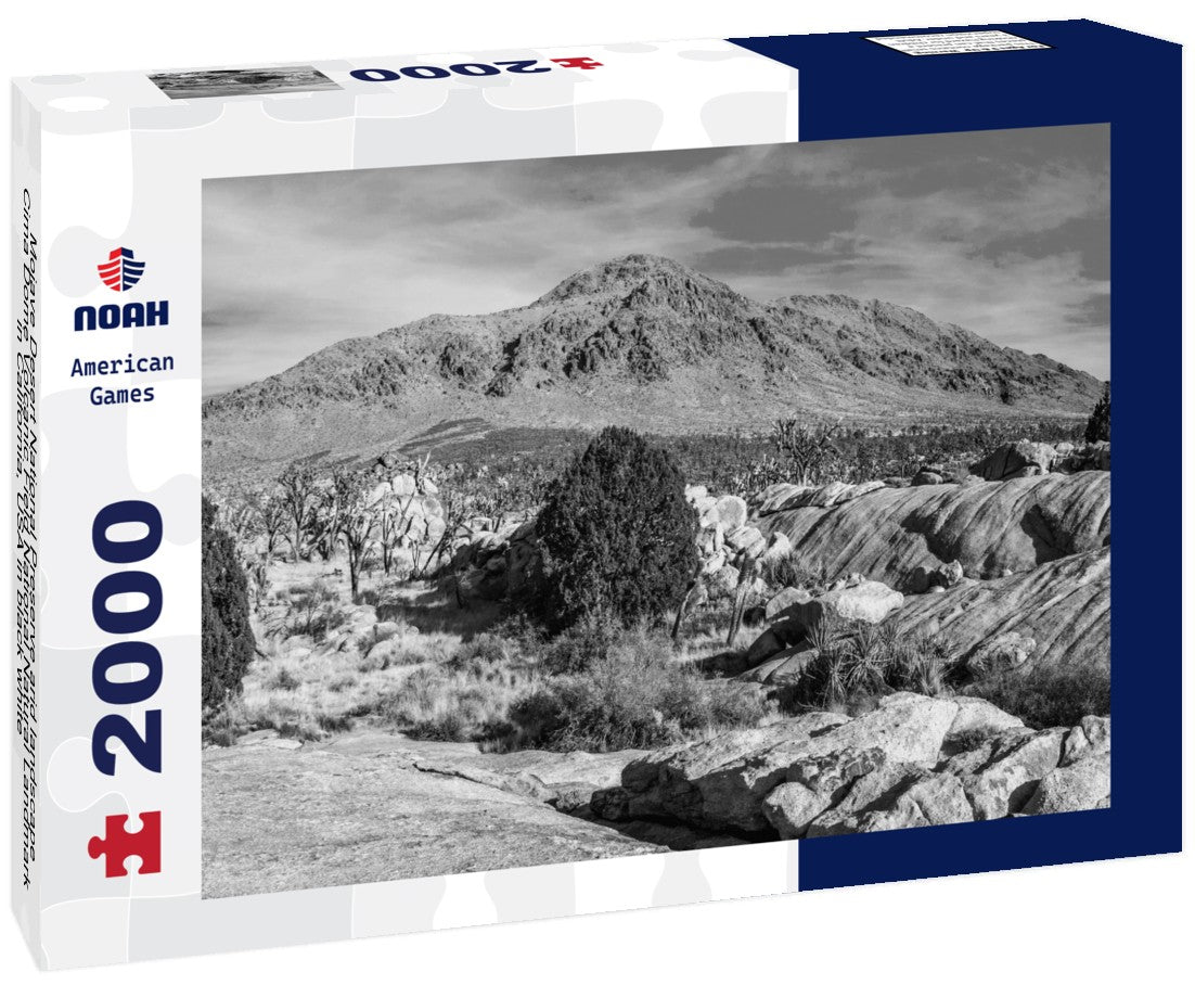 Noah Jigsaw Puzzle Mojave Desert National Preserve arid landscape, Cima Dome Volcanic Field National Natural Landmark in California, USA in black white 2000 pieces