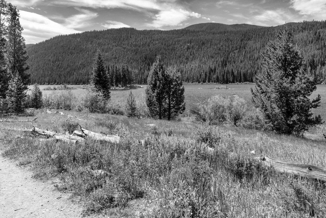 Noah Jigsaw Puzzle Rocky Mountain National Park Colorado in black white 2000 pieces