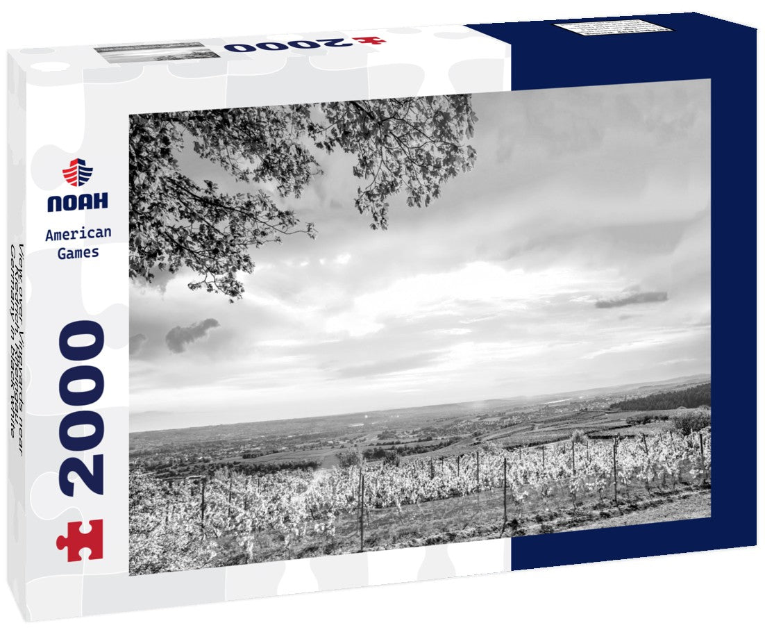 Noah Jigsaw Puzzle View over Vineyards near Kiedrich, Rheingau, Germany in black white 2000 pieces