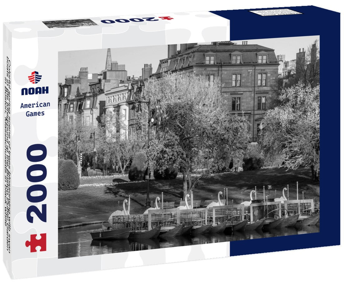 Noah Jigsaw Puzzle Colorful spring scene of trees blossoming with swan boats in the foreground at the Boston Public Garden in Boston, Massachusetts in black white 2000 pieces