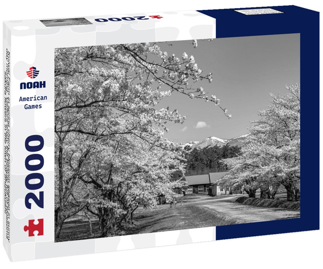 Koiwai Farm in spring cherry blossom season in sunny day morning. Visitors enjoy the beauty full of blossoms sakura flowers in the town of Shizukuishi, Iwate Prefecture, Japan 2000pc PuzzleBlack and White