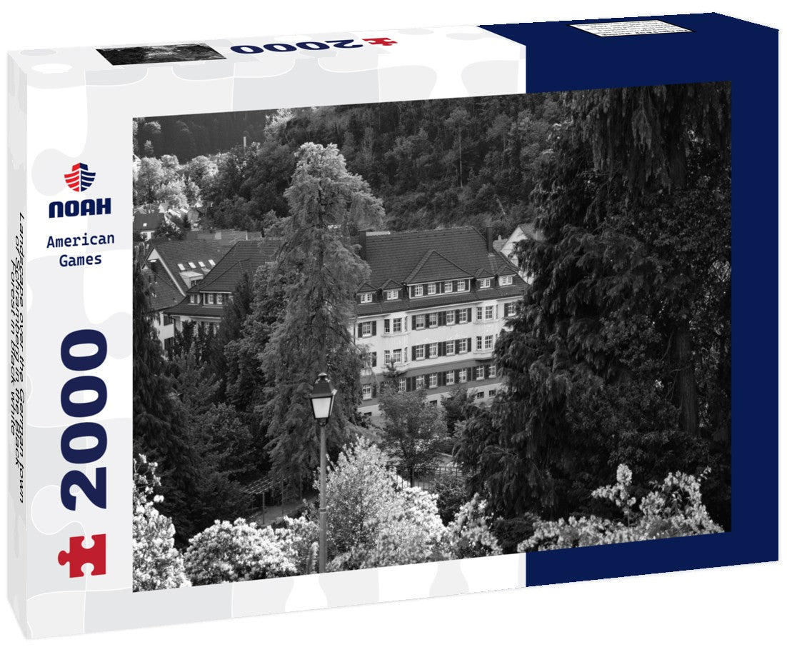 Noah Jigsaw Puzzle Landscape over the German town of Schramberg in the Black Forest in black white 2000 pieces