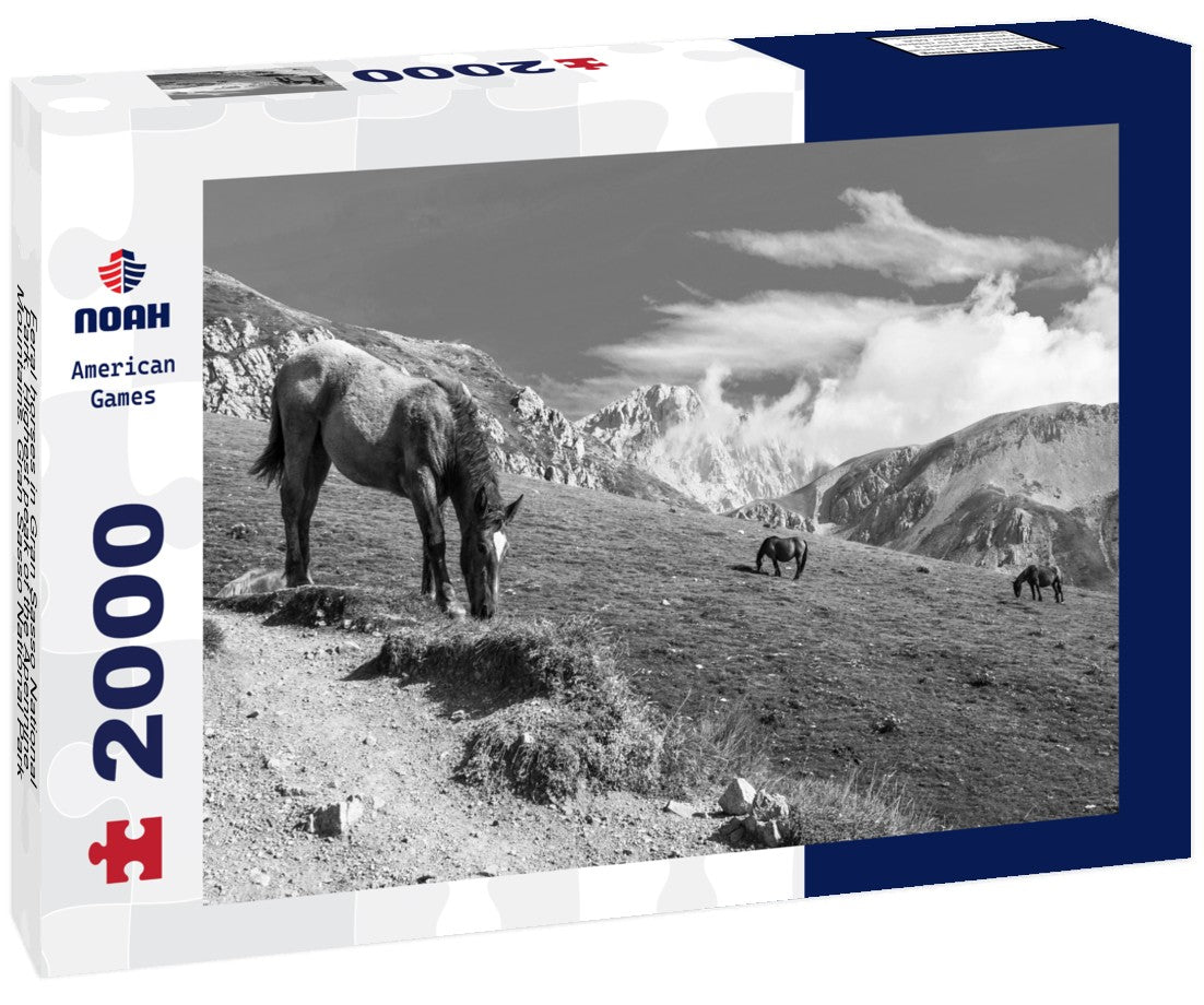 Noah Jigsaw Puzzle Feral horses in Gran Sasso National Park. Highest peak of the Apennine Mountains. Gran Sasso National Park, Abruzzo, Italy in black white 2000 pieces