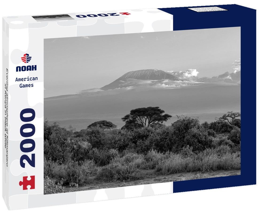 Noah Jigsaw Puzzle Evening atmosphere at Kilimanjaro in Kenya in black white 2000 pieces