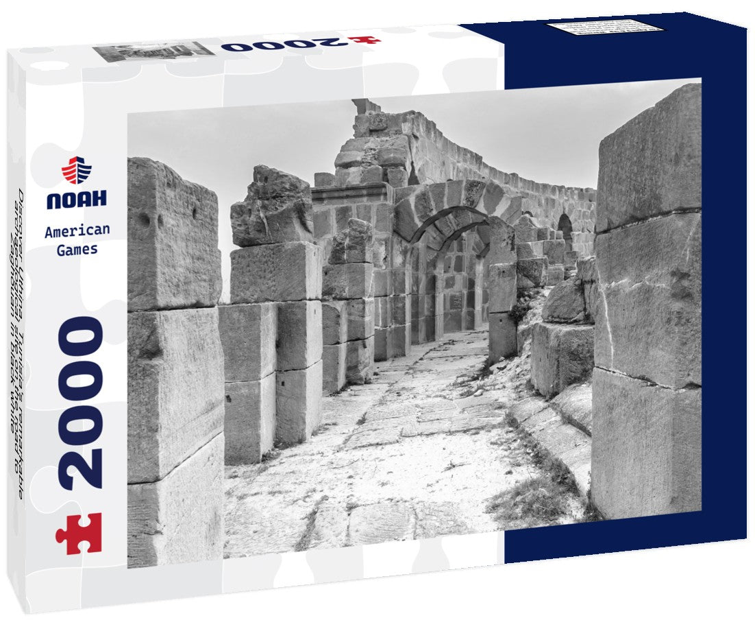 Noah Jigsaw Puzzle Discover Uthina. Tunisia's remarkable archaeological site on the road to Zaghouan in black white 2000 pieces
