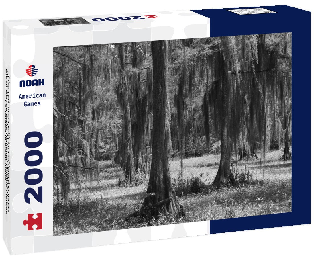 Noah Jigsaw Puzzle Live oak trees with lots of hanging moss, Black Bayou Lake National Wildlife Refuge, Louisiana in black white 2000 pieces