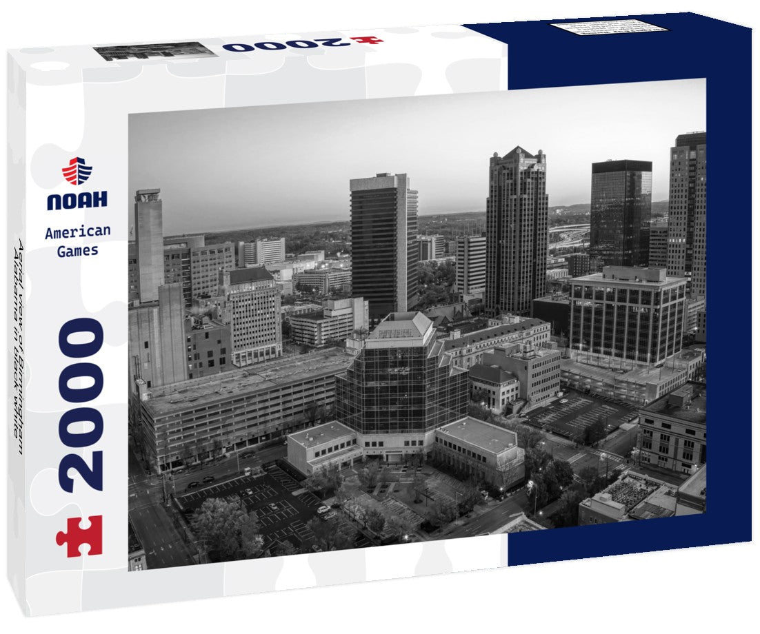 Noah Jigsaw Puzzle Aerial view of Birmingham, Alabama in black white 2000 pieces