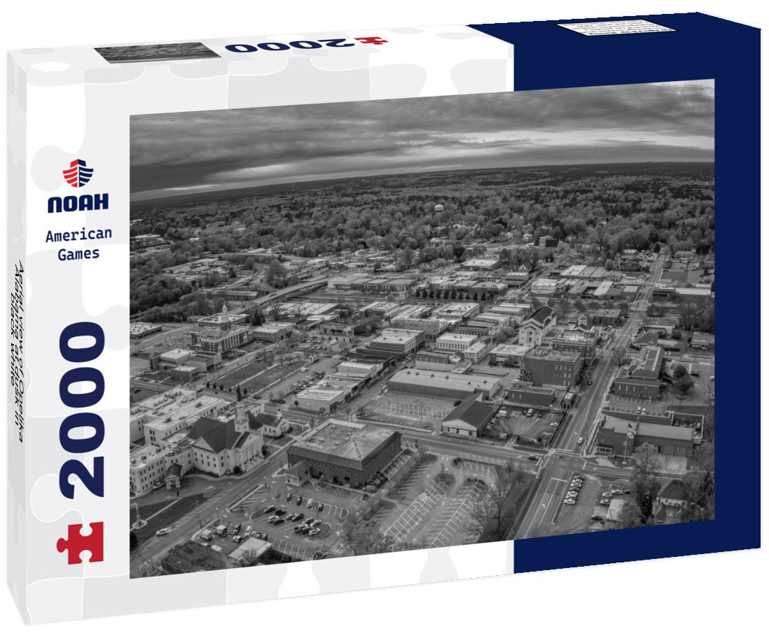 Noah Jigsaw Puzzle Aerial view of Opelika, Alabama at dusk in black white 2000 pieces